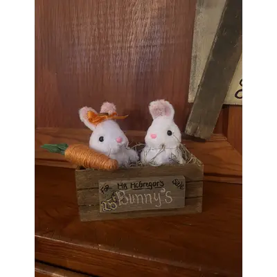 Mr. Mcgregors bunny's for sale