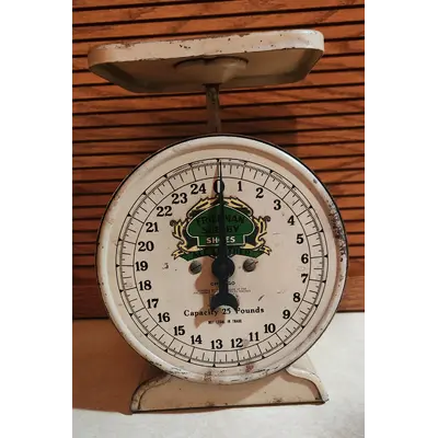 Friedman Shelby shoes scale