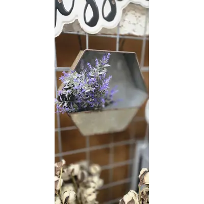 Galvanized Hexagon Wall Planter w Lavender Bush