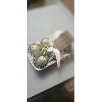Set of 6 Speckled Eggs w Carton