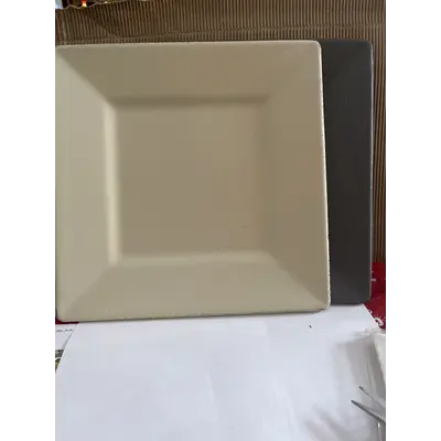 Square Trays Assorted