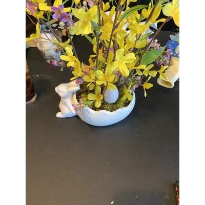 Fy-rabbit forsythia planter