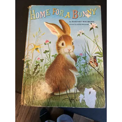 Fy-1976 Home for a bunny