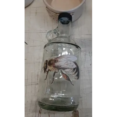 Jar with bug