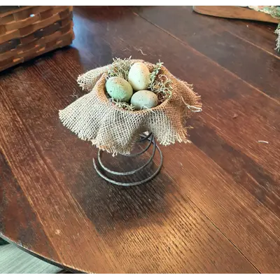 Eggs on a spring