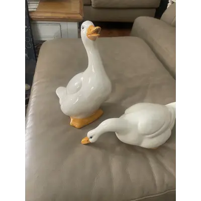Hand painted ducks