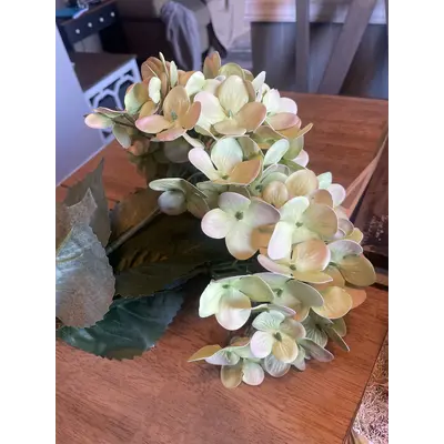 Hydrangea bouquet